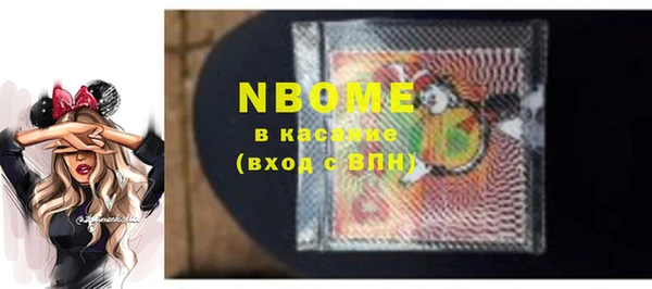 стаф Алексин